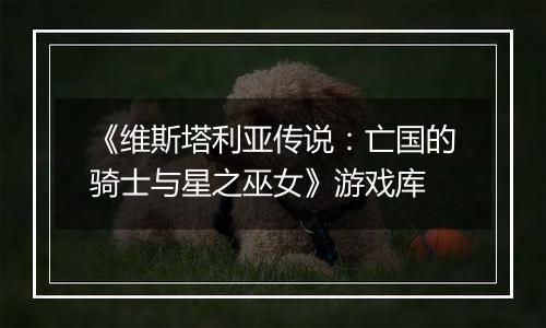 《维斯塔利亚传说：亡国的骑士与星之巫女》游戏库