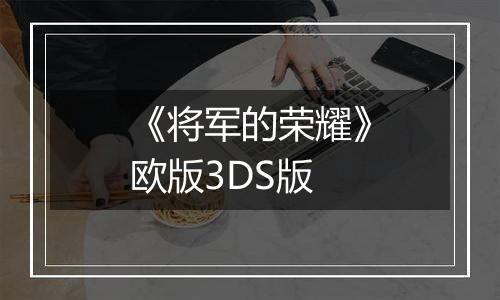 《将军的荣耀》欧版3DS版