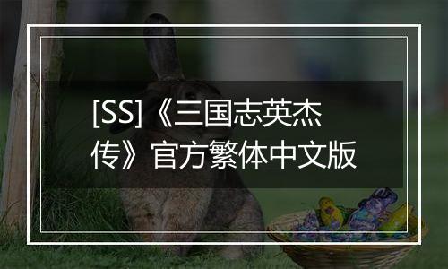 [SS]《三国志英杰传》官方繁体中文版