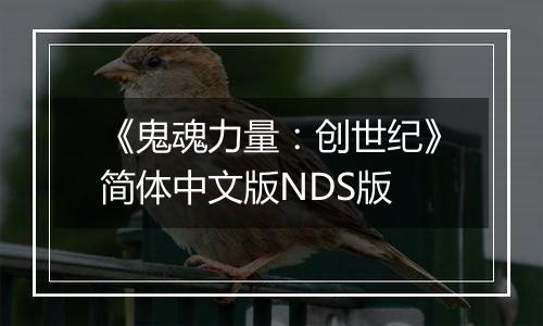 《鬼魂力量：创世纪》简体中文版NDS版