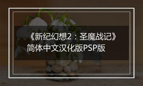 《新纪幻想2：圣魔战记》简体中文汉化版PSP版