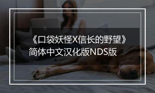 《口袋妖怪X信长的野望》简体中文汉化版NDS版
