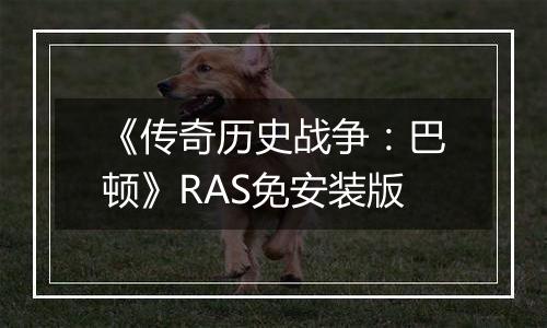 《传奇历史战争：巴顿》RAS免安装版