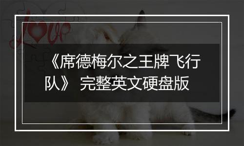 《席德梅尔之王牌飞行队》 完整英文硬盘版