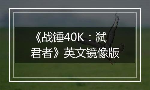 《战锤40K：弑君者》英文镜像版