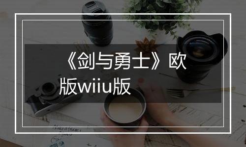 《剑与勇士》欧版wiiu版