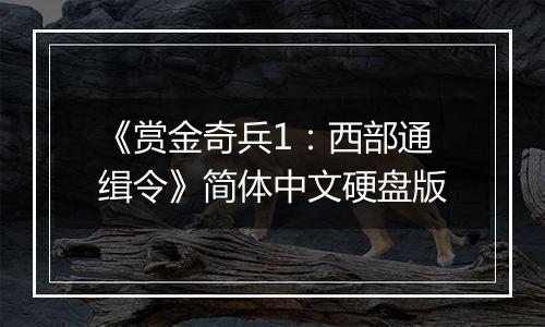 《赏金奇兵1：西部通缉令》简体中文硬盘版