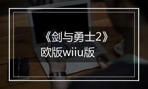 《剑与勇士2》欧版wiiu版