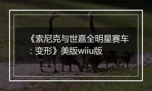 《索尼克与世嘉全明星赛车：变形》美版wiiu版