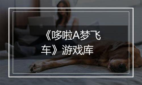《哆啦A梦飞车》游戏库