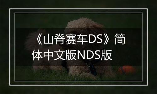 《山脊赛车DS》简体中文版NDS版