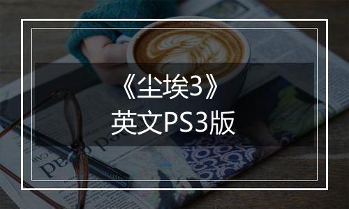 《尘埃3》 英文PS3版
