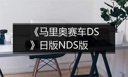 《马里奥赛车DS》日版NDS版