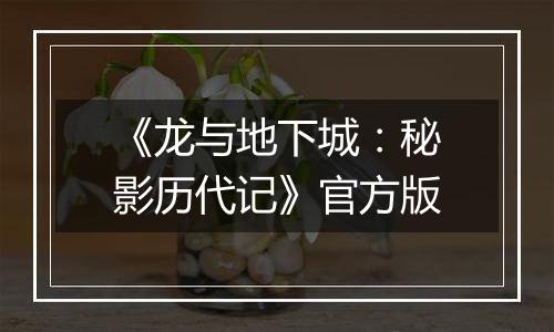《龙与地下城：秘影历代记》官方版