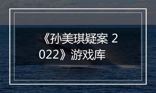 《孙美琪疑案 2022》游戏库