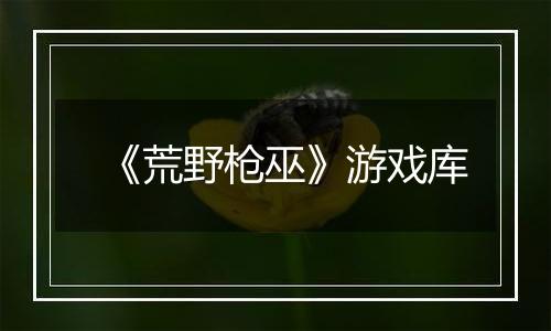 《荒野枪巫》游戏库
