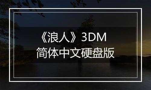 《浪人》3DM简体中文硬盘版