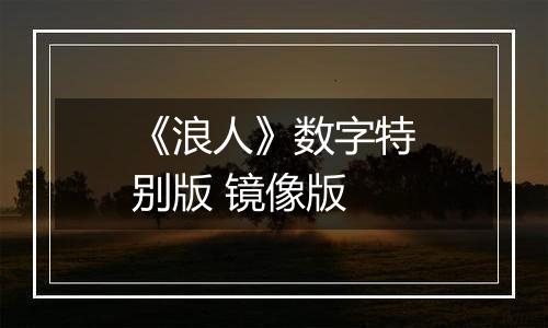 《浪人》数字特别版 镜像版