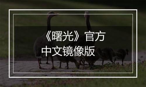 《曙光》官方中文镜像版
