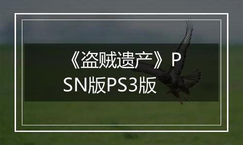 《盗贼遗产》PSN版PS3版