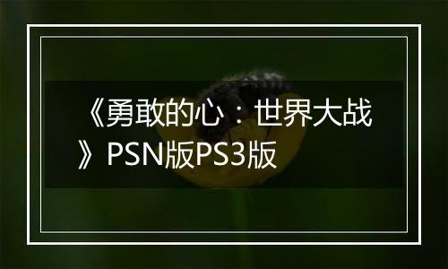 《勇敢的心：世界大战》PSN版PS3版