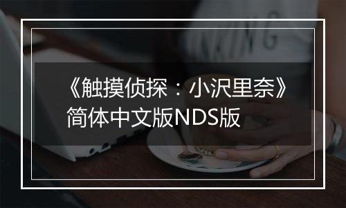 《触摸侦探：小沢里奈》 简体中文版NDS版