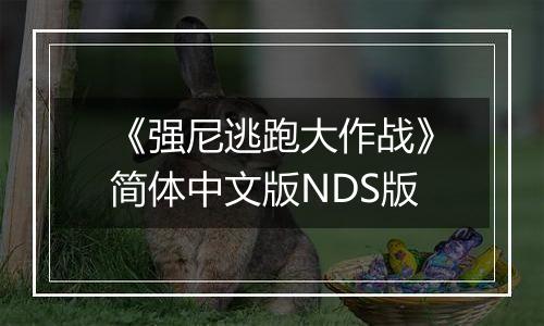 《强尼逃跑大作战》简体中文版NDS版