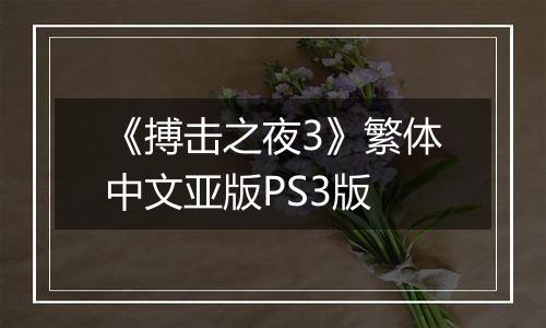 《搏击之夜3》繁体中文亚版PS3版