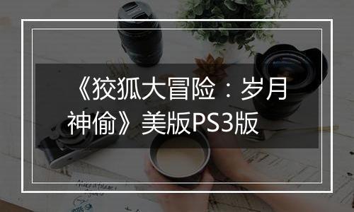 《狡狐大冒险：岁月神偷》美版PS3版