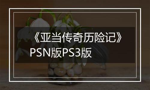 《亚当传奇历险记》PSN版PS3版