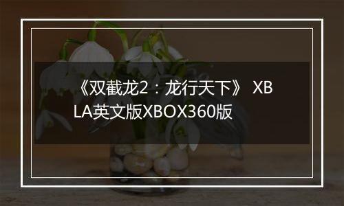 《双截龙2：龙行天下》 XBLA英文版XBOX360版