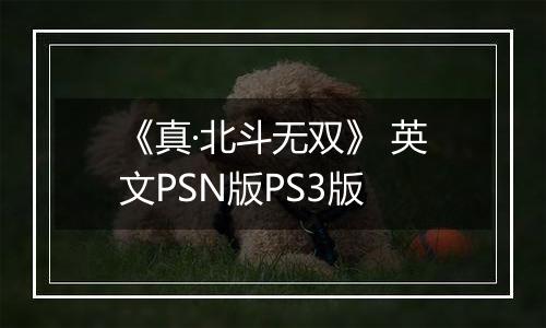 《真·北斗无双》 英文PSN版PS3版