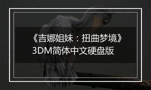 《吉娜姐妹：扭曲梦境》 3DM简体中文硬盘版