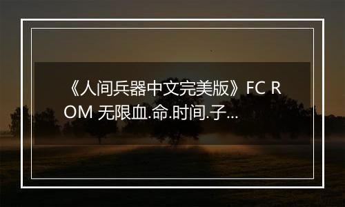 《人间兵器中文完美版》FC ROM 无限血.命.时间.子弹版