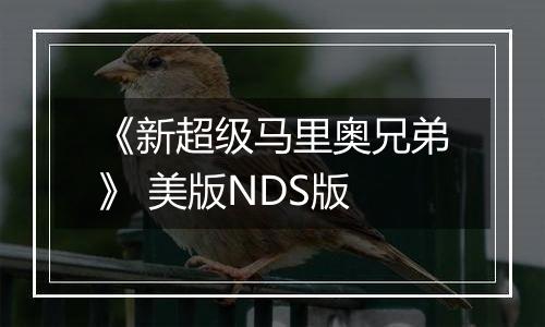 《新超级马里奥兄弟》 美版NDS版