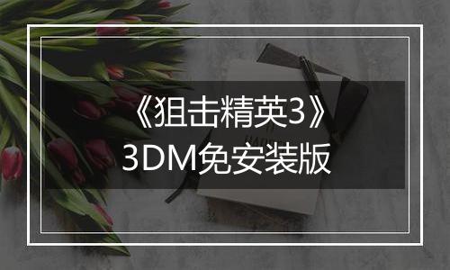 《狙击精英3》3DM免安装版