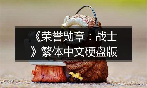 《荣誉勋章：战士》繁体中文硬盘版