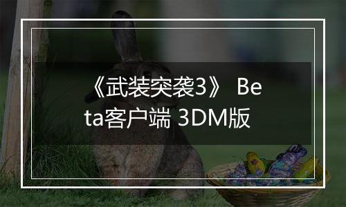 《武装突袭3》 Beta客户端 3DM版