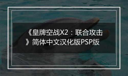 《皇牌空战X2：联合攻击》简体中文汉化版PSP版