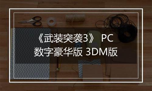 《武装突袭3》 PC数字豪华版 3DM版