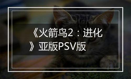 《火箭鸟2：进化》亚版PSV版