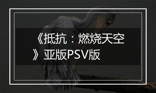 《抵抗：燃烧天空》亚版PSV版