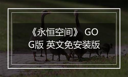 《永恒空间》 GOG版 英文免安装版