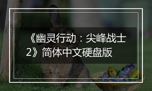 《幽灵行动：尖峰战士2》简体中文硬盘版