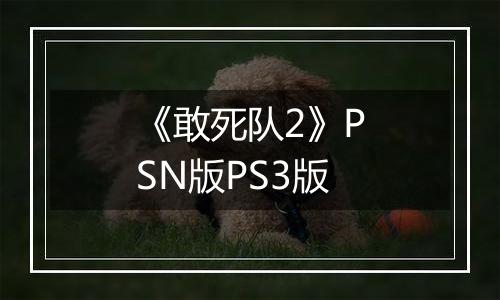 《敢死队2》PSN版PS3版
