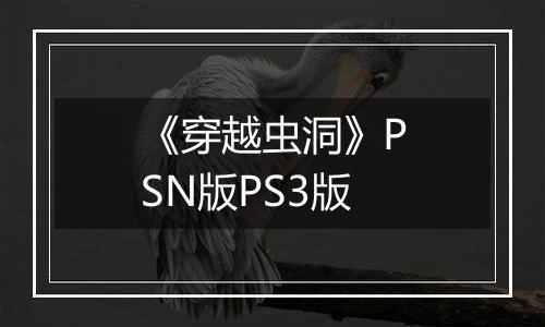 《穿越虫洞》PSN版PS3版