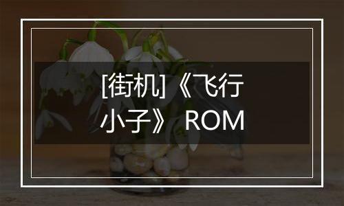 [街机]《飞行小子》 ROM
