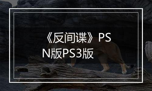 《反间谍》PSN版PS3版