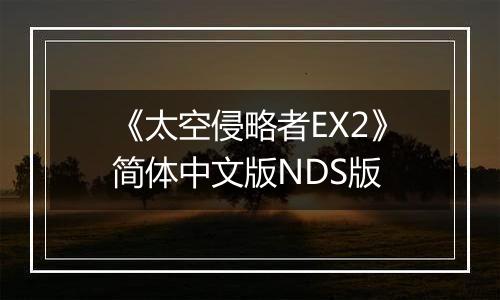 《太空侵略者EX2》简体中文版NDS版