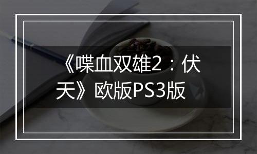 《喋血双雄2：伏天》欧版PS3版